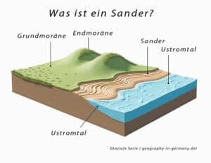 Mehr über den Artikel erfahren Was ist ein Sander? Wo findet man Sander in Deutschland?