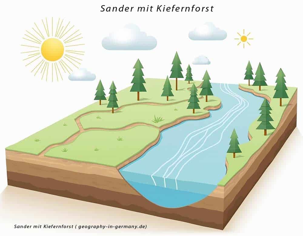 Sander mit Kiefernforst ( geography-in-germany.de)